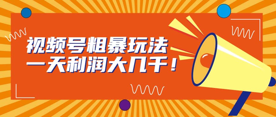 视频号粗暴玩法，一天利润大几千-宝籍资源