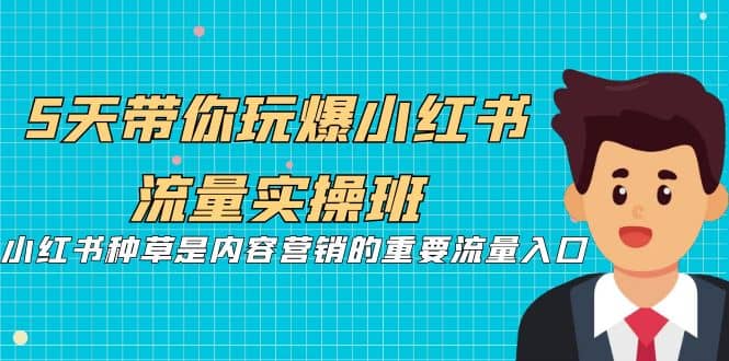 5天带你玩爆小红书流量实操班，小红书种草是内容营销的重要流量入口-宝籍资源