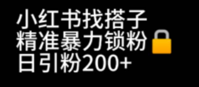 小红书找搭子暴力精准锁粉+引流日引200+精准粉-宝籍资源