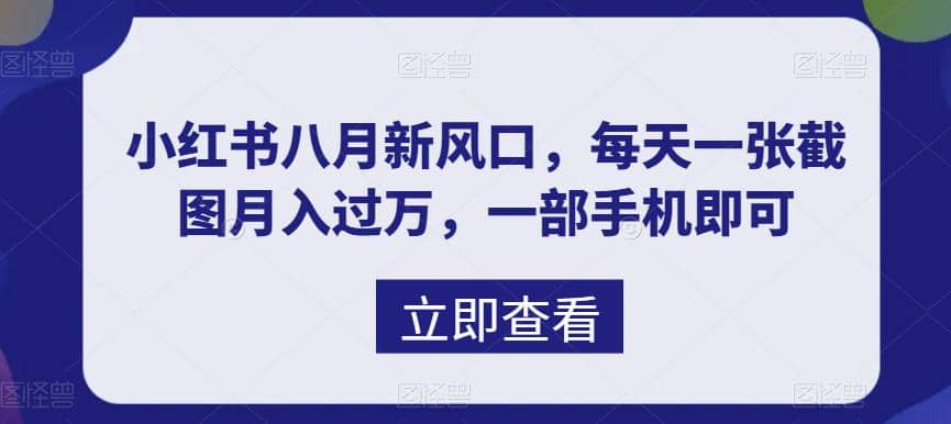 八月新风口，小红书虚拟项目一天收入1000+，实战揭秘-宝籍资源