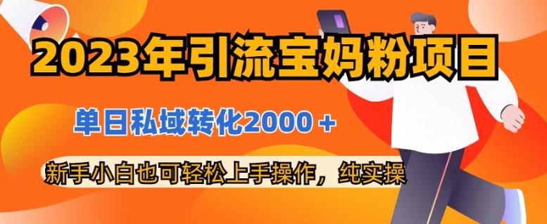 2023年引流宝妈粉项目，单日私域转化2000＋，新手小白也可轻松上手操作，纯实操-宝籍资源