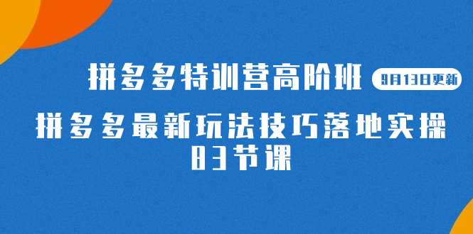 2023拼多多·特训营高阶班【9月13日更新】拼多多最新玩法技巧落地实操-83节-宝籍资源