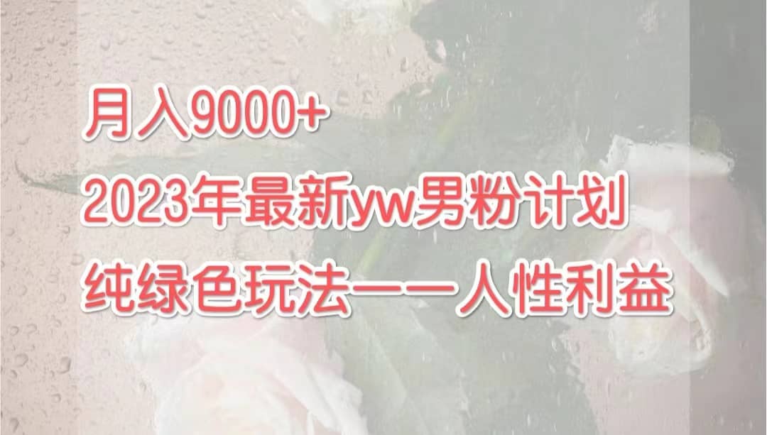 月入9000+2023年9月最新yw男粉计划绿色玩法——人性之利益-宝籍资源