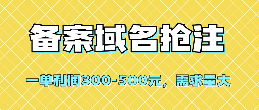 【全网首发】备案域名抢注，一单利润300-500元，需求量大-宝籍资源