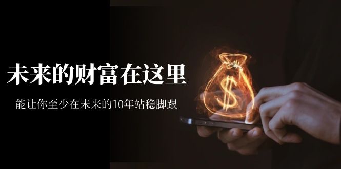某收费文章《未来的财富在这里》能让你至少在未来的10年站稳脚跟-宝籍资源