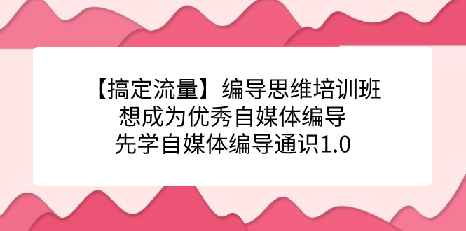 【搞定流量】编导思维培训班，想成为优秀自媒体编导先学自媒体编导通识1.0-宝籍资源