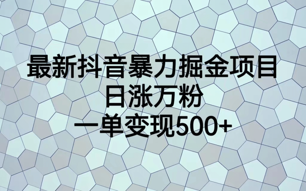 最火热的抖音暴力掘金项目，日涨万粉，多种变现方式，一单变现可达500+-宝籍资源