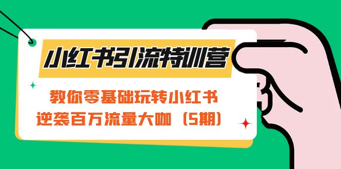 小红书引流特训营-第5期：教你零基础玩转小红书，逆袭百万流量大咖-宝籍资源