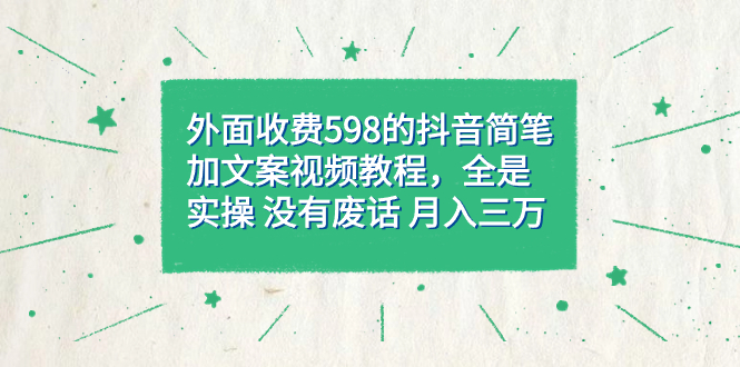 外面收费598抖音简笔加文案教程，全是实操 没有废话 月入三万（教程+资料）-宝籍资源
