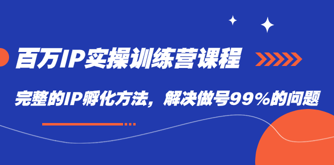 百万IP实战训练营课程，完整的IP孵化方法，解决做号99%的问题-宝籍资源