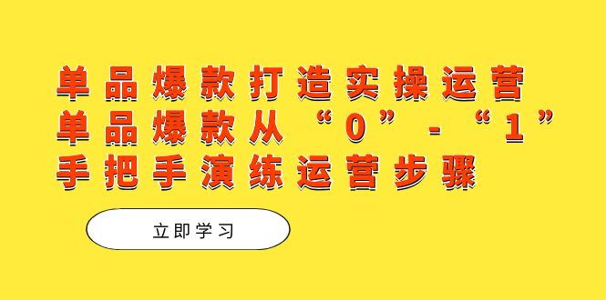 单品爆款打造实操运营，单品爆款从“0”-“1”手把手演练运营步骤-宝籍资源