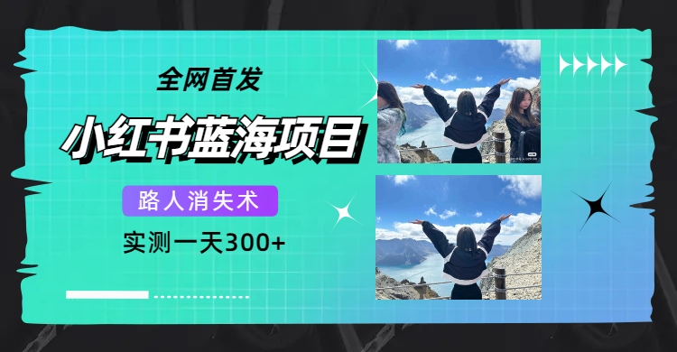 全网首发，小红书蓝海项目，路人消失术，实测一天300+（教程+工具）-宝籍资源