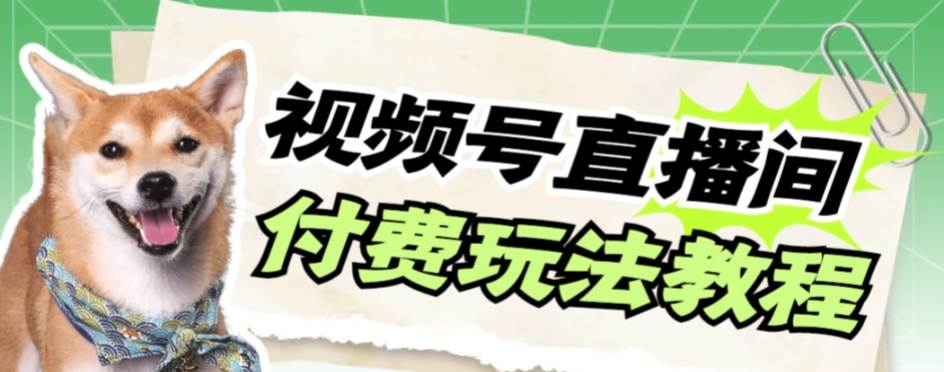 视频号美女付费无人直播，轻松日入500+【详细玩-宝籍资源