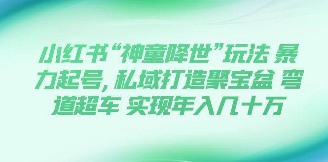 小红书“神童降世”玩法 暴力起号,私域打造聚宝盆 弯道超车 实现年入几十万-宝籍资源