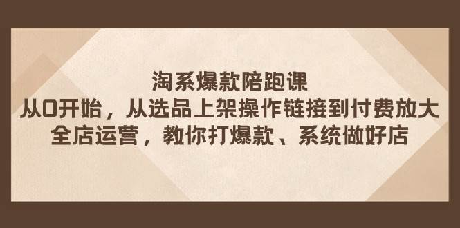 淘系爆款陪跑课 从选品上架操作链接到付费放大 全店运营 打爆款 系统做好店-宝籍资源