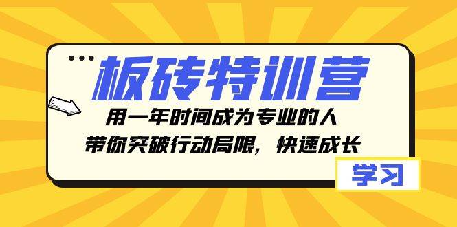 板砖特训营，用一年时间成为专业的人，带你突破行动局限，快速成长-宝籍资源