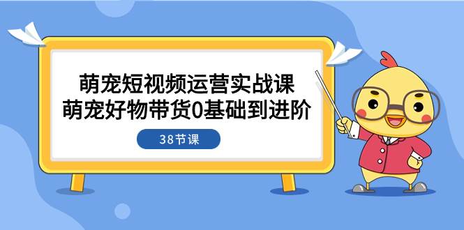 萌宠·短视频运营实战课：萌宠好物带货0基础到进阶（38节课）-宝籍资源