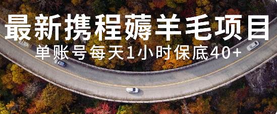 最新携程薅羊毛项目，单账号每天1小时保底收益40+，可矩阵操作-宝籍资源
