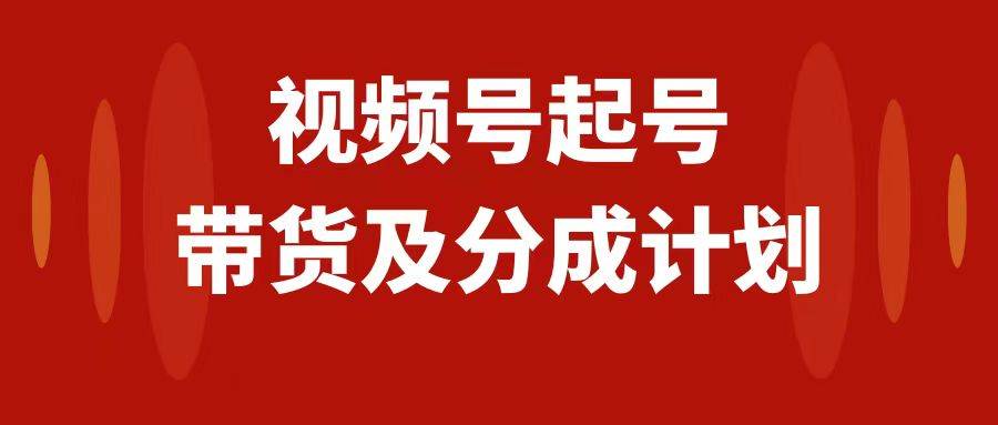 视频号快速起号，分成计划及带货，0-1起盘、运营、变现玩法，日入1000+-宝籍资源