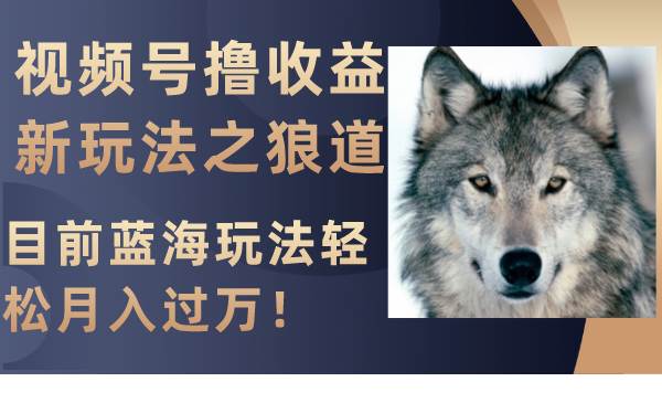 视频号撸收益新玩法之狼道，目前蓝海玩法轻松月入过万！-宝籍资源