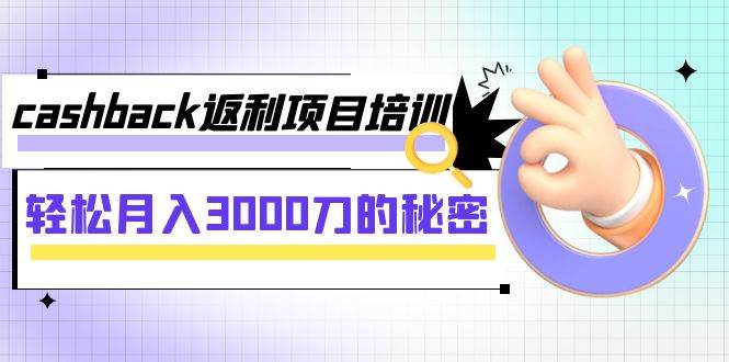 cashback返利项目培训：轻松月入3000刀的秘密（8节课）-宝籍资源