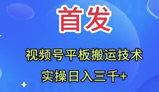 全网首发：视频号平板搬运技术，实操日入三千＋-宝籍资源