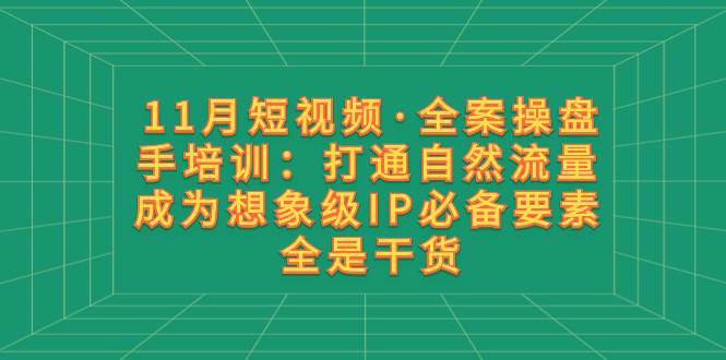 11月短视频·全案操盘手培训：打通自然流量 成为想象级IP必备要素 全是干货-宝籍资源