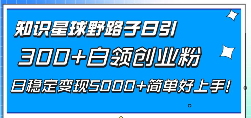 知识星球野路子日引300+白领创业粉，日稳定变现5000+简单好上手！-宝籍资源