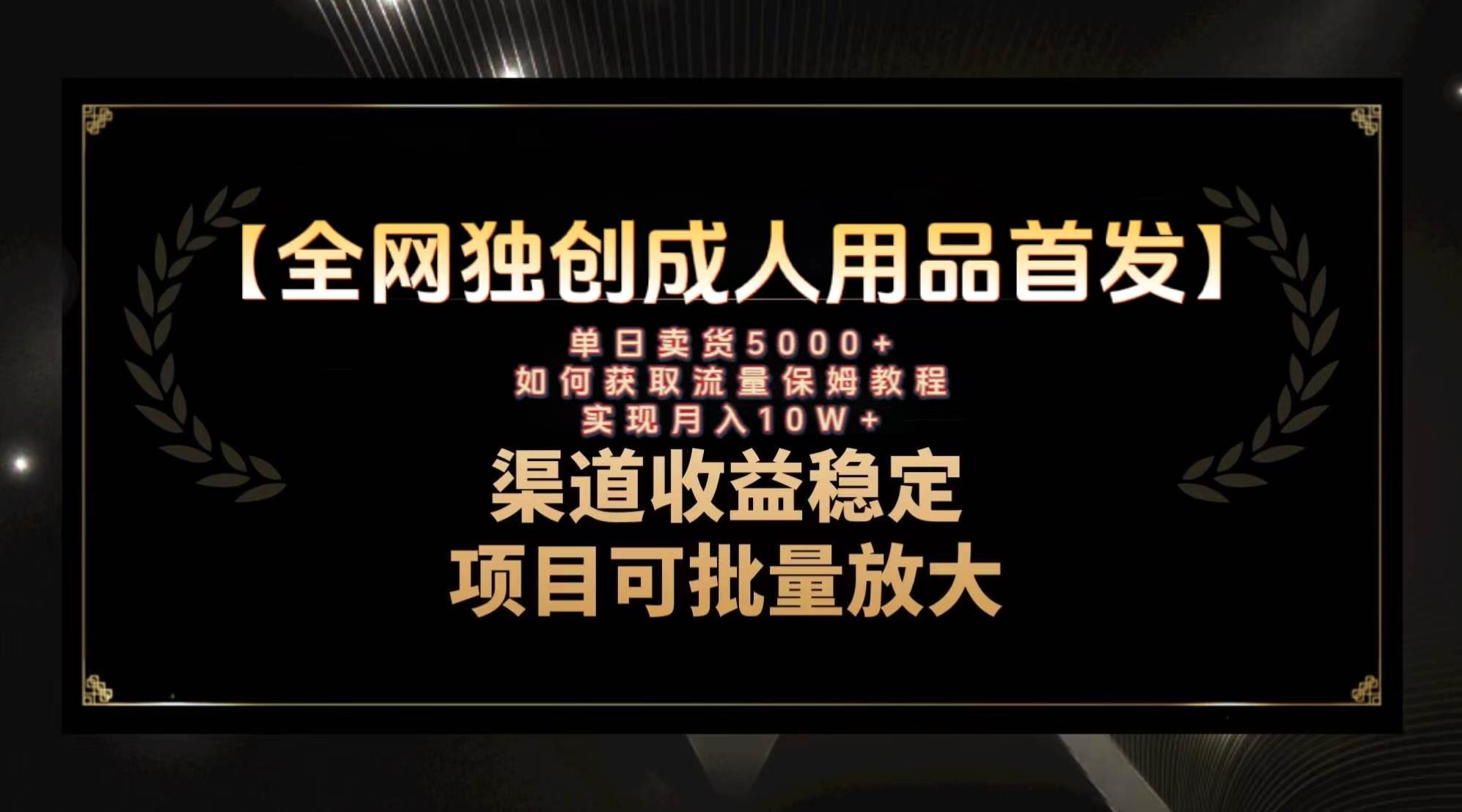 最新全网独创首发，成人用品赛道引流获客，月入10w保姆级教程-宝籍资源