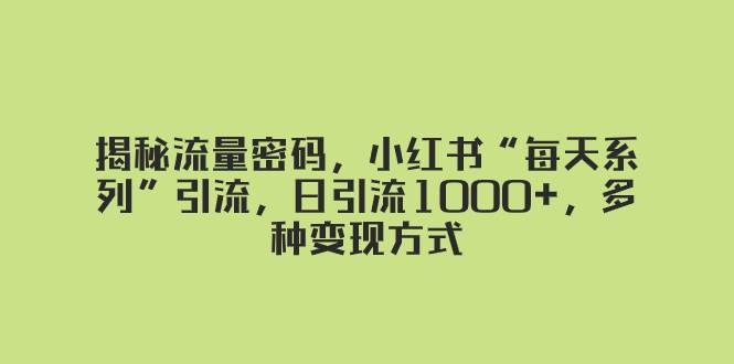 揭秘流量密码，小红书“每天系列”引流，日引流1000+，多种变现方式-宝籍资源