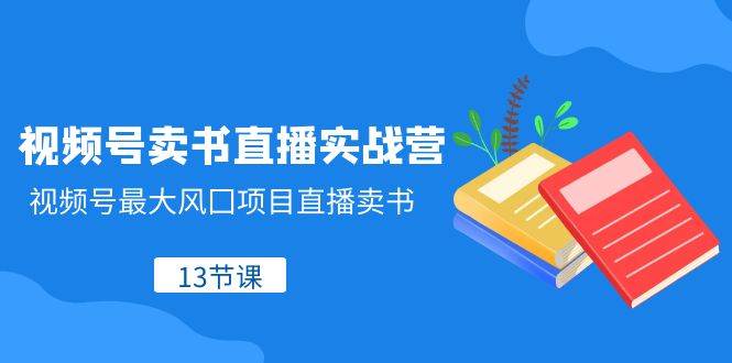 视频号-卖书直播实战营，视频号最大风囗项目直播卖书（13节课）-宝籍资源
