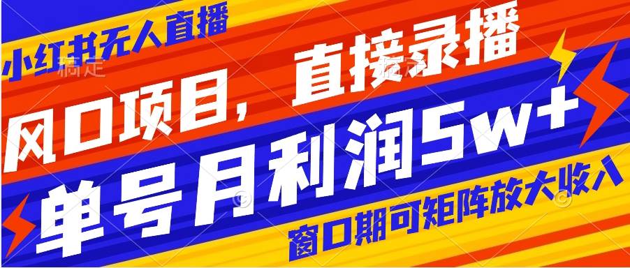 风口项目，小红书无人直播带货，直接录播，可矩阵，月入5w+-宝籍资源