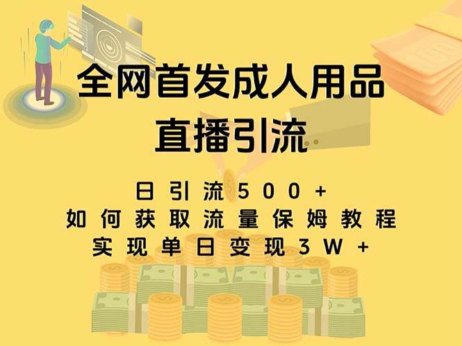 最新全网独创首发，成人用品直播引流获客暴力玩法，单日变现3w保姆级教程-宝籍资源