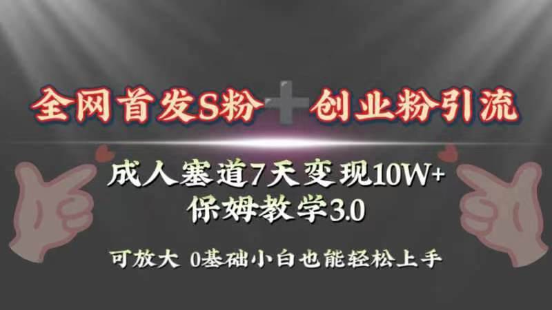 全网首发s粉加创业粉引流变现，成人用品赛道7天变现10w+保姆教学3.0-宝籍资源