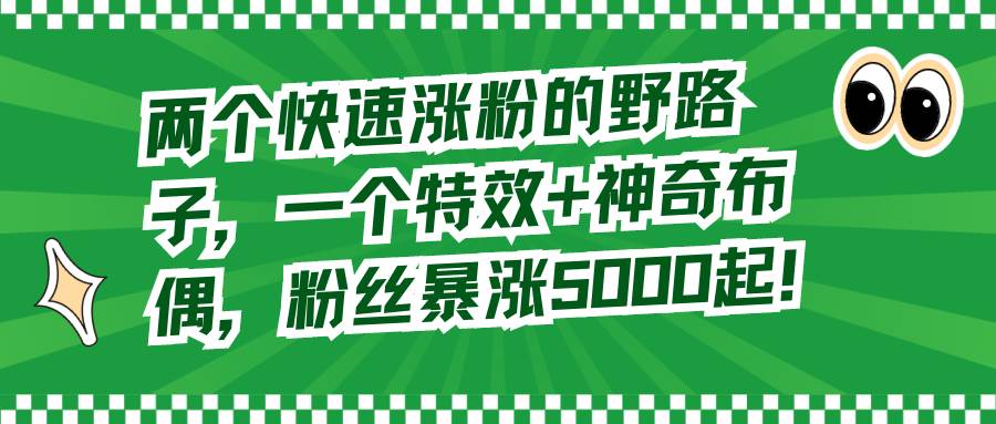 两个快速涨粉的野路子，一个特效+神奇布偶，粉丝暴涨5000起！-宝籍资源