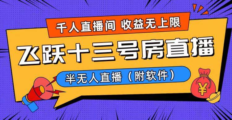 爆火飞跃十三号房半无人直播，一场直播上千人，日入过万！（附软件）-宝籍资源