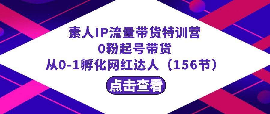 繁星·计划素人IP流量带货特训营：0粉起号带货 从0-1孵化网红达人（156节）-宝籍资源