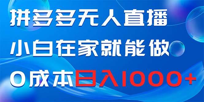 拼多多无人直播，小白在家就能做，0成本日入1000+-宝籍资源