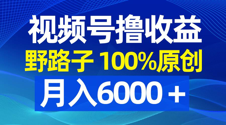 视频号野路子撸收益，100%原创，条条爆款，月入6000＋-宝籍资源