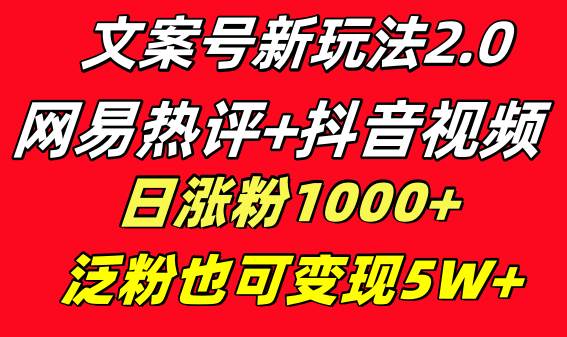 文案号新玩法 网易热评+抖音文案 一天涨粉1000+ 多种变现模式 泛粉也可变现-宝籍资源