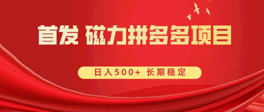 首发 磁力拼多多自撸  日入500+-宝籍资源
