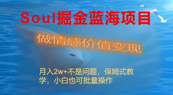 Soul掘金蓝海项目细分赛道，做情感价值变现，月入2w+不是问题-宝籍资源