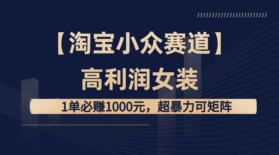 【淘宝小众赛道】高利润女装：1单必赚1000元，超暴力可矩阵-宝籍资源