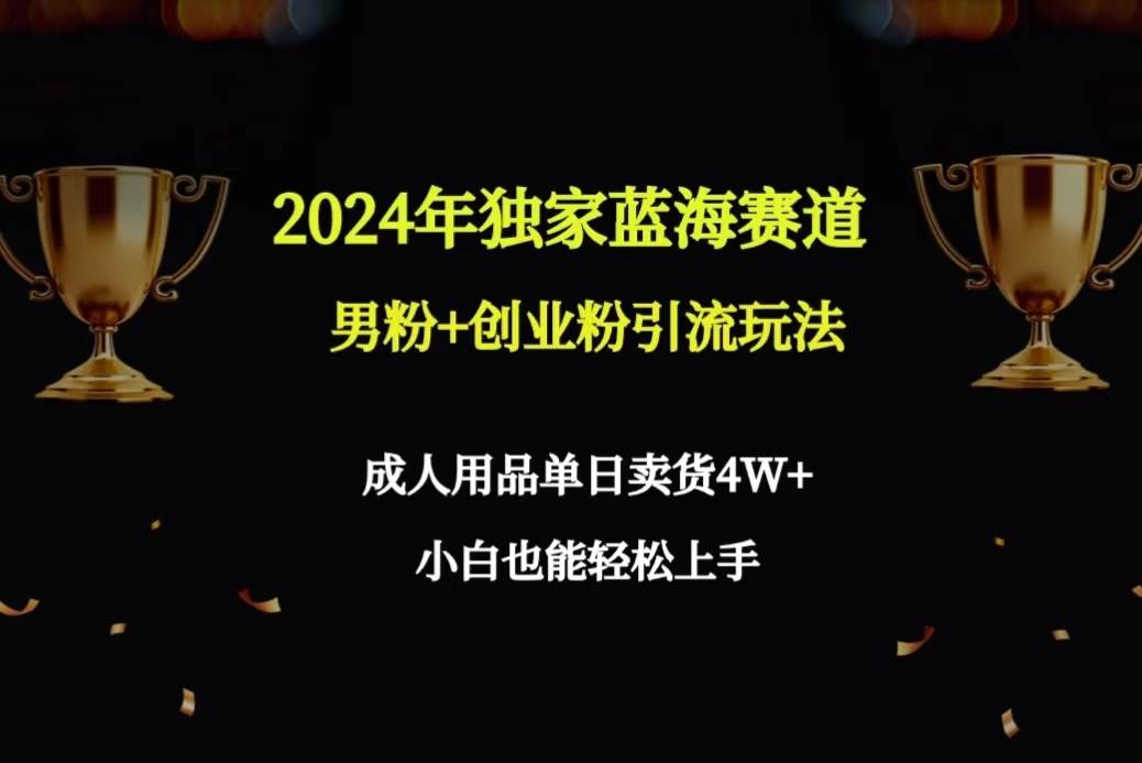 2024年独家蓝海赛道男粉+创业粉引流玩法，成人用品单日卖货4W+保姆教程-宝籍资源