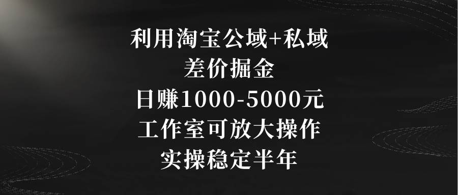 利用淘宝公域+私域差价掘金，日赚1000-5000元，工作室可放大操作，实操…-宝籍资源