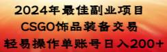 2024年最佳副业项目 CSGO饰品装备交易 轻易操作单账号日入200+-宝籍资源