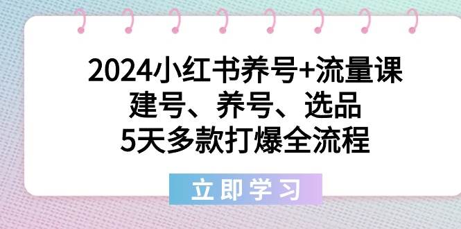 2024小红书养号+流量课：建号、养号、选品，5天多款打爆全流程-宝籍资源