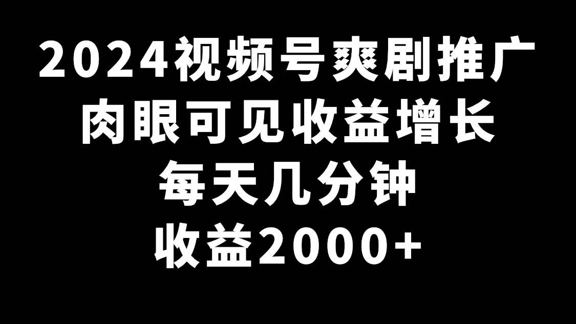2024视频号爽剧推广，肉眼可见的收益增长，每天几分钟收益2000+-宝籍资源