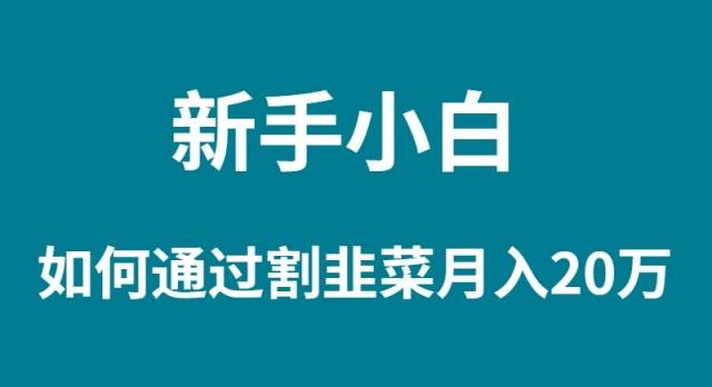 新手小白如何通过割韭菜月入 20W-宝籍资源