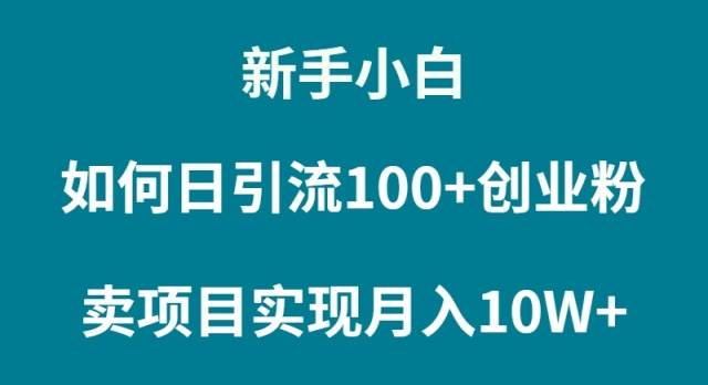 新手小白如何通过卖项目实现月入10W+-宝籍资源